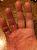 bottom_hand.jpg