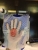 Hand in mold.jpg