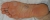 RF_bot_DSC_0013s.JPG