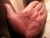 Meunier-Left Hand Palm3 Reduced -14.3.16.jpg
