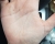 20180614_133216.jpg