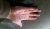 20170322_155220 (Medium).jpg